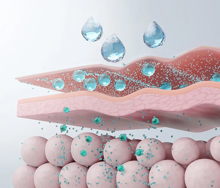 피부 재생 과정과 단백질의 중요성